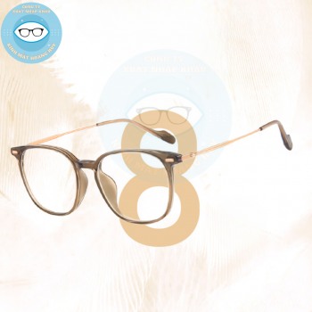 Gọng nhựa càng kính titanium mã 8138